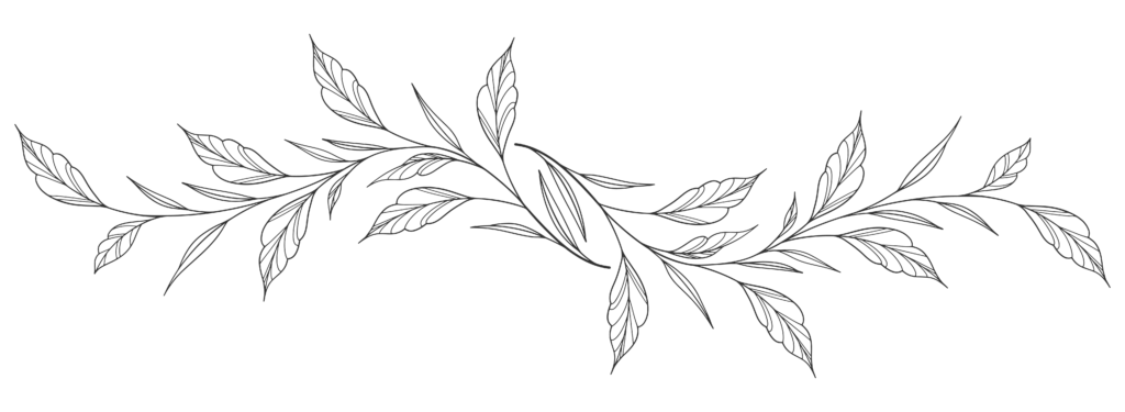 Ligne de feuilles dessinées au trait