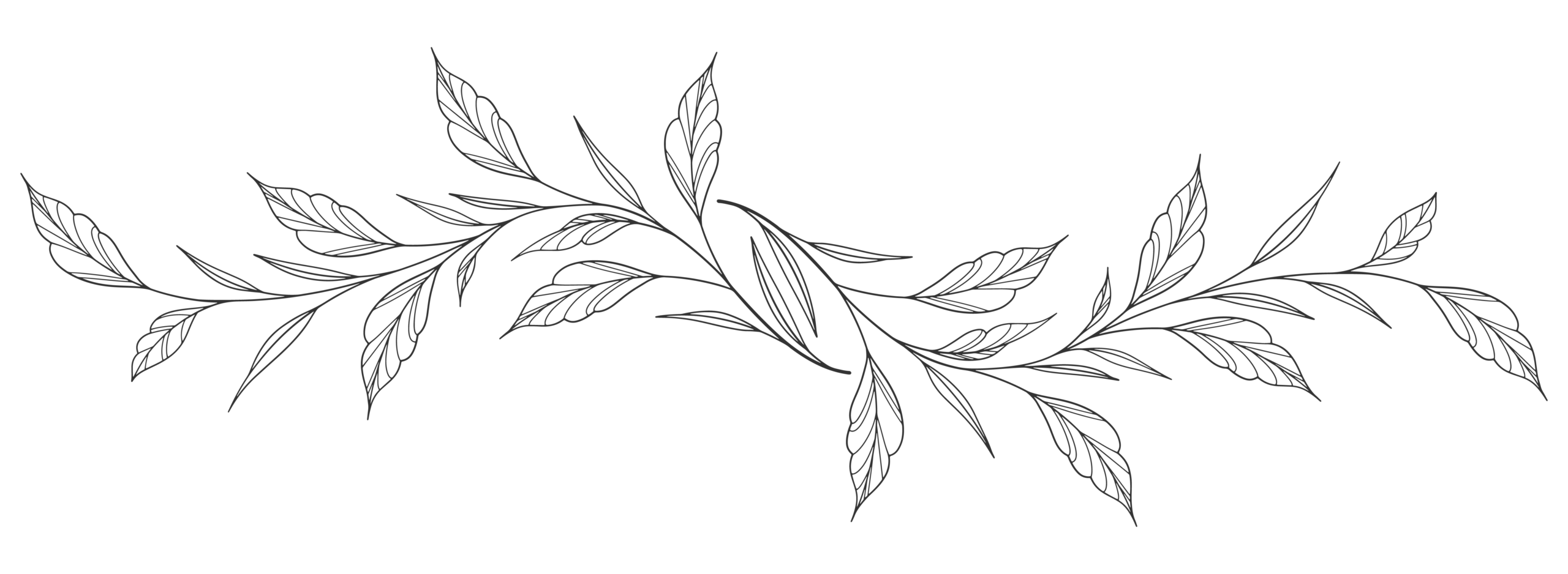 Ligne de feuilles dessinées au trait